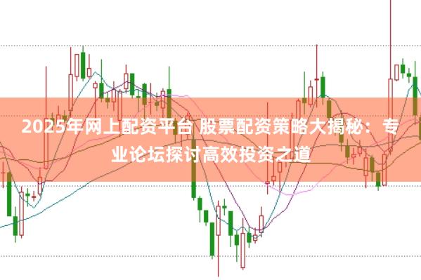 2025年网上配资平台 股票配资策略大揭秘：专业论坛探讨高效投资之道