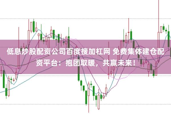 低息炒股配资公司百度搜加杠网 免费集体建仓配资平台：抱团取暖，共赢未来！
