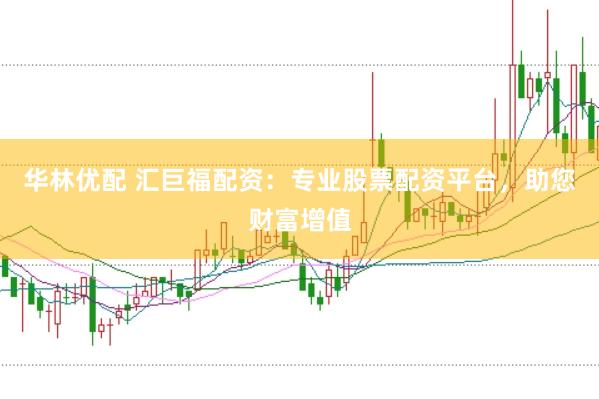 华林优配 汇巨福配资：专业股票配资平台，助您财富增值
