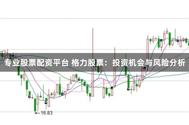 专业股票配资平台 格力股票：投资机会与风险分析