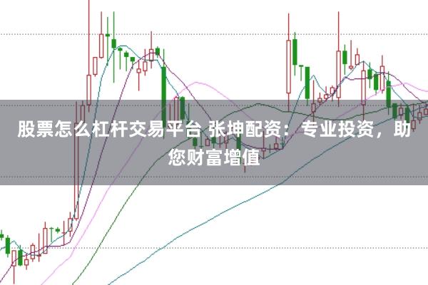股票怎么杠杆交易平台 张坤配资：专业投资，助您财富增值