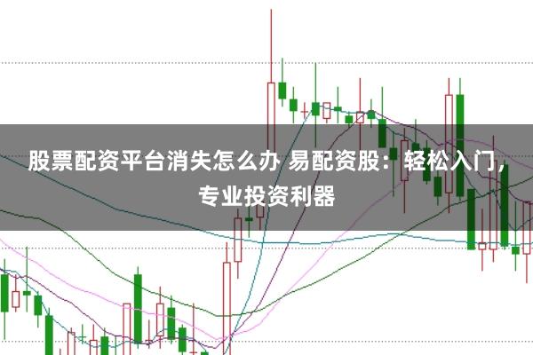 股票配资平台消失怎么办 易配资股：轻松入门，专业投资利器
