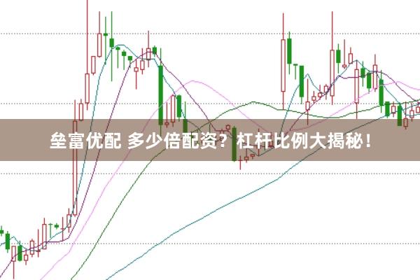 垒富优配 多少倍配资？杠杆比例大揭秘！
