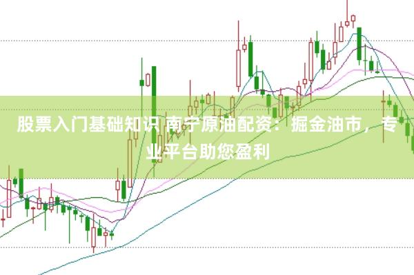 股票入门基础知识 南宁原油配资：掘金油市，专业平台助您盈利
