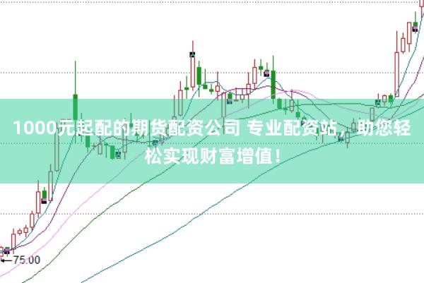 1000元起配的期货配资公司 专业配资站，助您轻松实现财富增值！