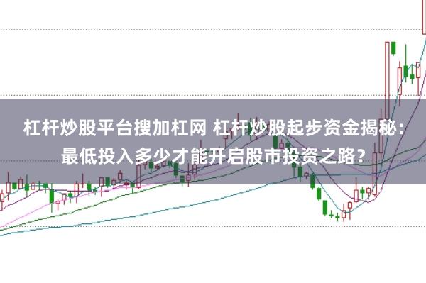 杠杆炒股平台搜加杠网 杠杆炒股起步资金揭秘：最低投入多少才能开启股市投资之路？