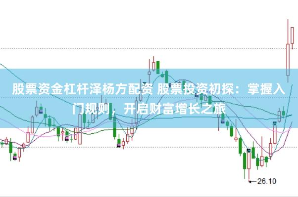 股票资金杠杆泽杨方配资 股票投资初探：掌握入门规则，开启财富增长之旅