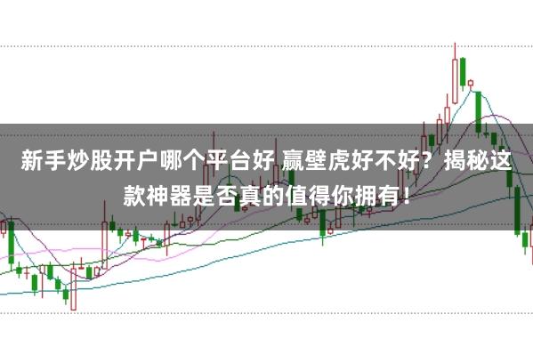 新手炒股开户哪个平台好 赢壁虎好不好？揭秘这款神器是否真的值得你拥有！