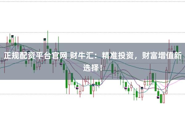正规配资平台官网 财牛汇:精准投资,财富增值新选择!