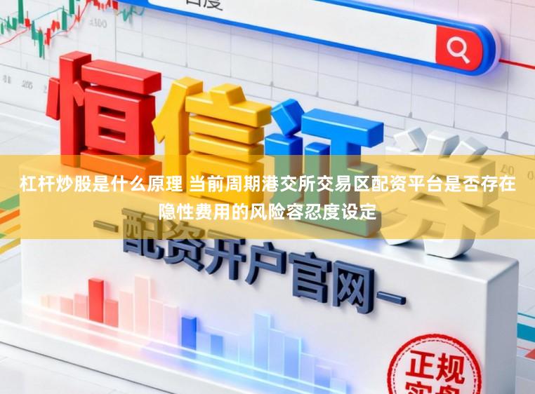 杠杆炒股是什么原理 当前周期港交所交易区配资平台是否存在隐性费用的风险容忍度设定